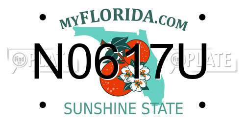 N0617U Florida License Plate