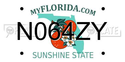 N064ZY Florida License Plate