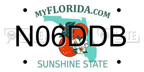 N06DDB Florida License Plate