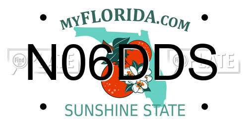 N06DDS Florida License Plate