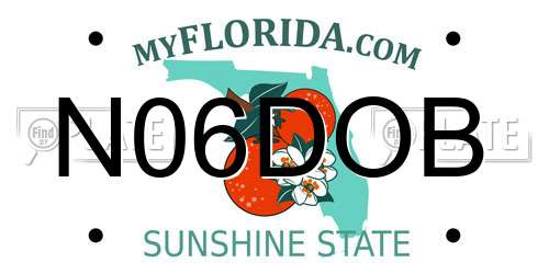 N06DOB Florida License Plate