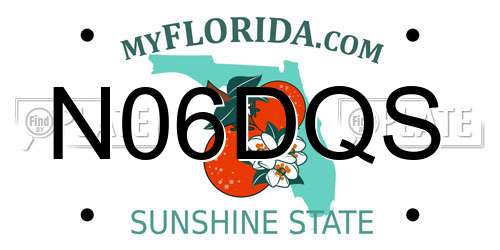 N06DQS Florida License Plate