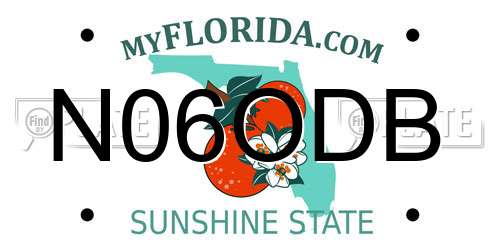 N06ODB Florida License Plate