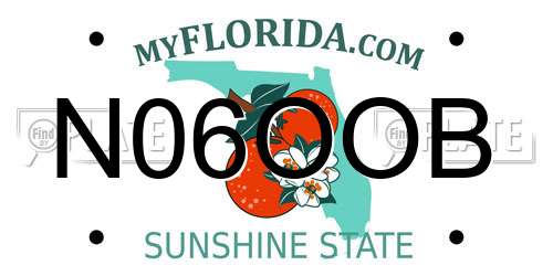 N06OOB Florida License Plate