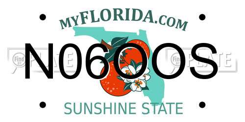 N06OOS Florida License Plate