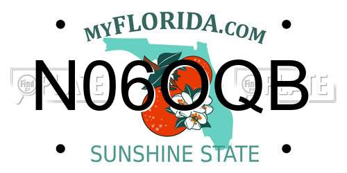 N06OQB Florida License Plate