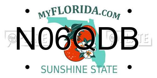 N06QDB Florida License Plate