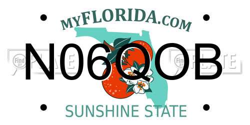 N06QOB Florida License Plate