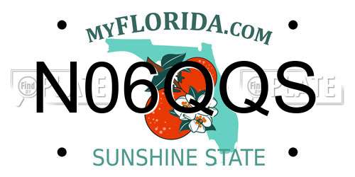 N06QQS Florida License Plate