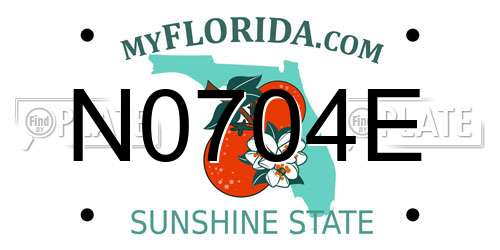 N0704E Florida License Plate