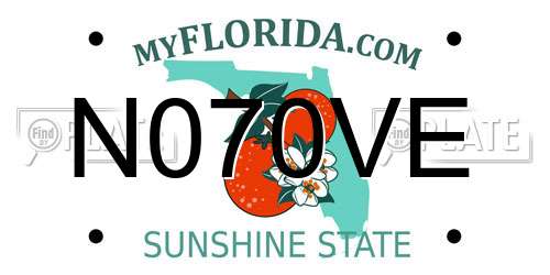 N070VE Florida License Plate
