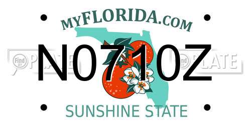 N0710Z Florida License Plate