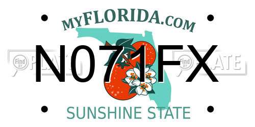 N071FX Florida License Plate