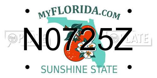 N0725Z Florida License Plate
