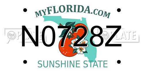 N0728Z Florida License Plate