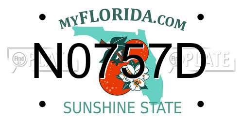 N0757D Florida License Plate