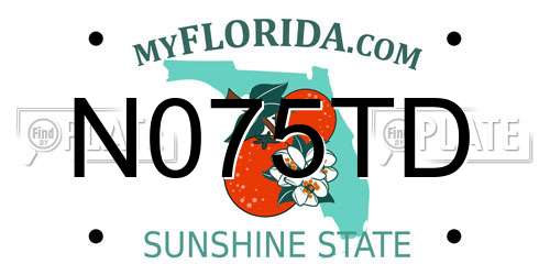N075TD Florida License Plate