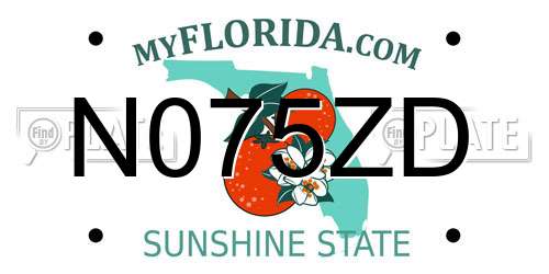 N075ZD Florida License Plate