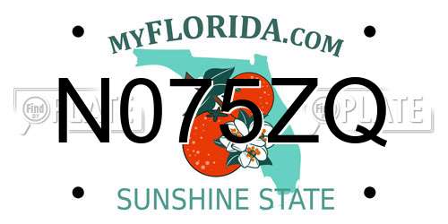 N075ZQ Florida License Plate