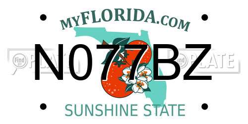 N077BZ Florida License Plate