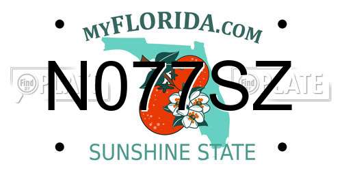 N077SZ Florida License Plate