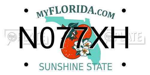 N077XH Florida License Plate