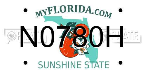 N0780H Florida License Plate
