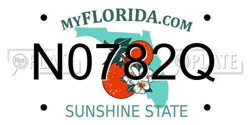 N0782Q Florida License Plate