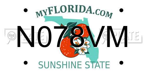 N078VM Florida License Plate