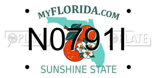 N0791I Florida License Plate