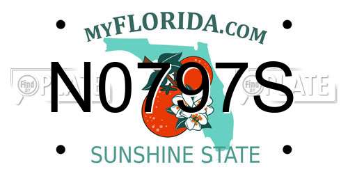 N0797S Florida License Plate