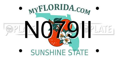 N079II Florida License Plate
