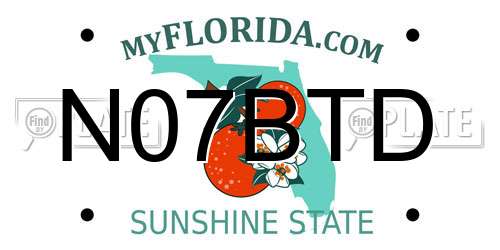 N07BTD Florida License Plate