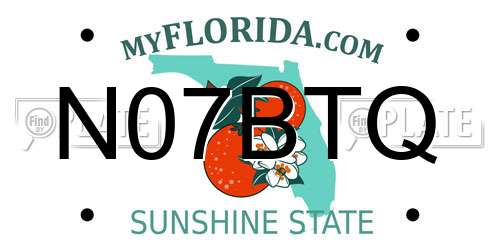 N07BTQ Florida License Plate