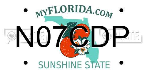 N07CDP Florida License Plate