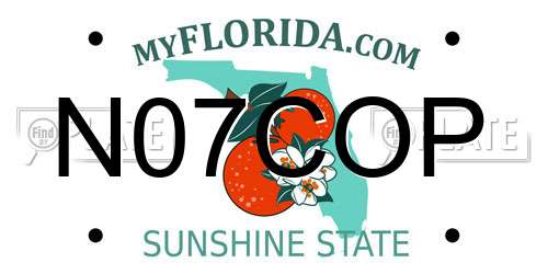 N07COP Florida License Plate