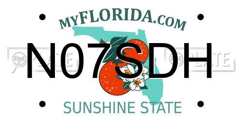 N07SDH Florida License Plate