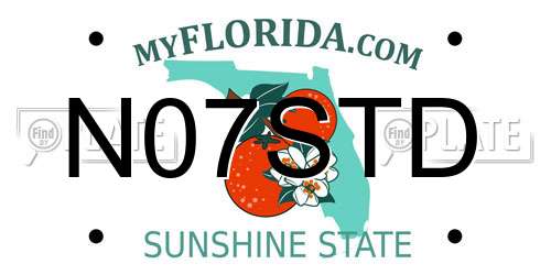 N07STD Florida License Plate