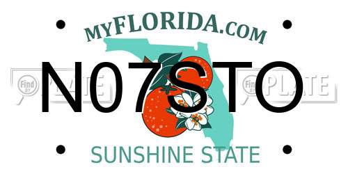 N07STO Florida License Plate