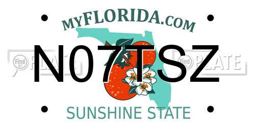 N07TSZ Florida License Plate