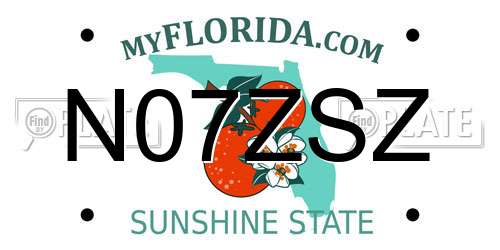 N07ZSZ Florida License Plate