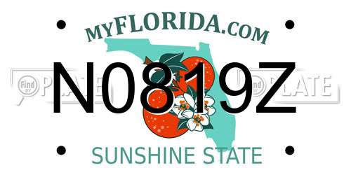 N0819Z Florida License Plate