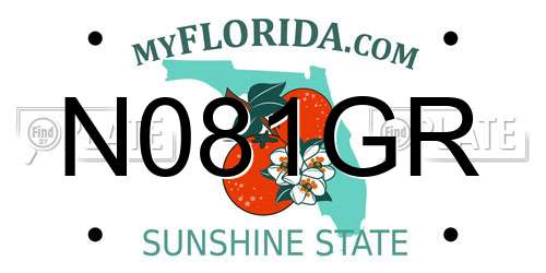 N081GR Florida License Plate