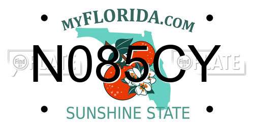 N085CY Florida License Plate