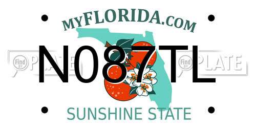 N087TL Florida License Plate