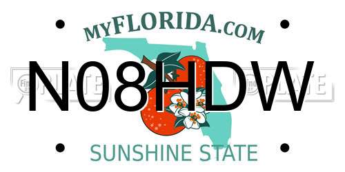 N08HDW Florida License Plate
