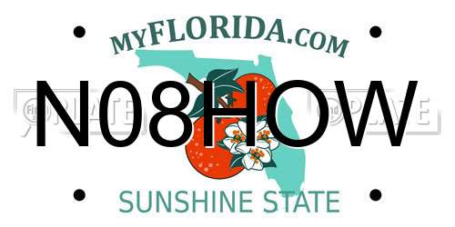 N08HOW Florida License Plate