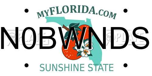 N0BWNDS Florida License Plate