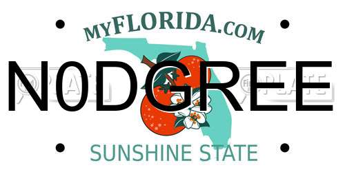 N0DGREE Florida License Plate
