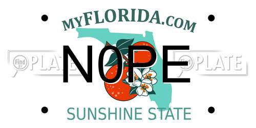 N0PE Florida License Plate
